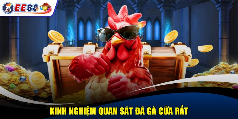 Kinh nghiệm quan sát đá gà cửa rắt