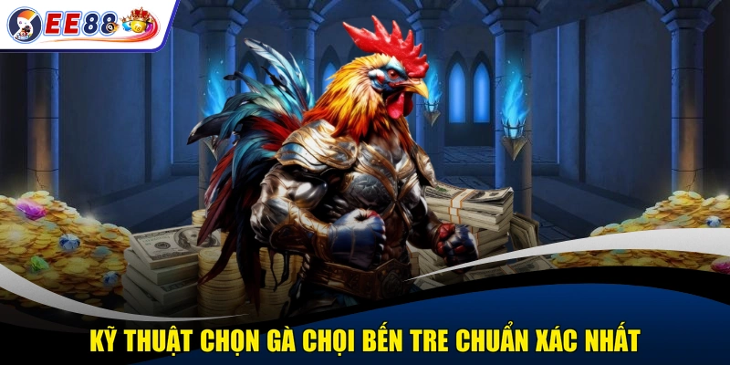 Kỹ thuật chọn gà chọi Bến Tre chuẩn xác nhất