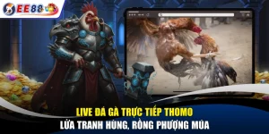 Live Đá Gà Trực Tiếp Thomo - Lửa Tranh Hùng, Rồng Phượng Múa