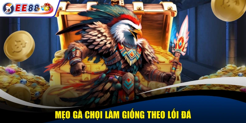 Mẹo gà chọi làm giống theo lối đá