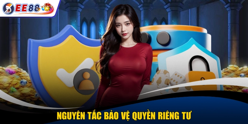 Nguyên tắc bảo vệ quyền riêng tư
